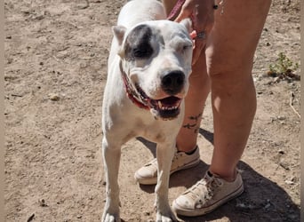 Handicap Santa Ana - sozial, freundlich und menschenbezogen