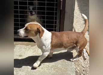 DUNDU - AUF DER SUCHE NACH DEM GLÜCK