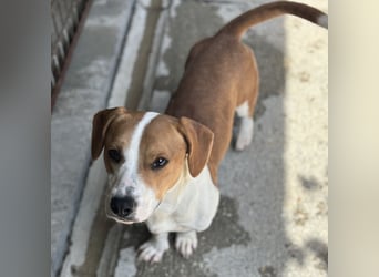 DUNDU - AUF DER SUCHE NACH DEM GLÜCK