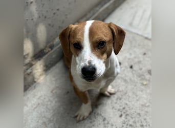 DUNDU - AUF DER SUCHE NACH DEM GLÜCK