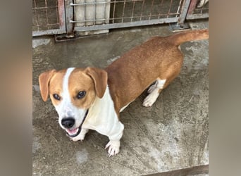 DUNDU - AUF DER SUCHE NACH DEM GLÜCK