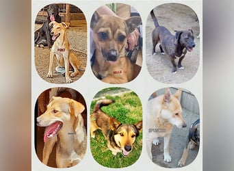 DRINGEND PFLEGESTELLEN GESUCHT !!