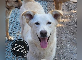 Dringend PFLEGESTELLEN gesucht!