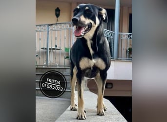 Dringend PFLEGESTELLEN gesucht!