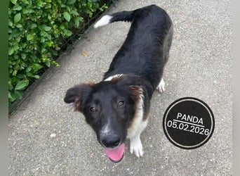 Dringend PFLEGESTELLEN gesucht!