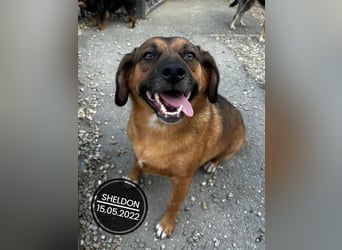 Dringend PFLEGESTELLEN gesucht!