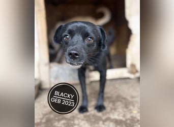 Dringend PFLEGESTELLEN gesucht!