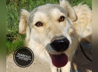 Dringend PFLEGESTELLEN gesucht!