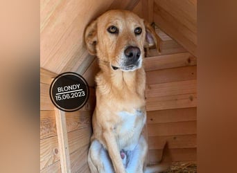 Dringend PFLEGESTELLEN gesucht!