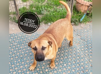 Dringend PFLEGESTELLEN gesucht!