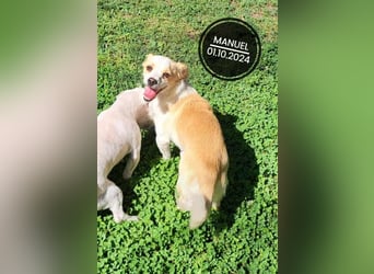 Dringend PFLEGESTELLEN gesucht!