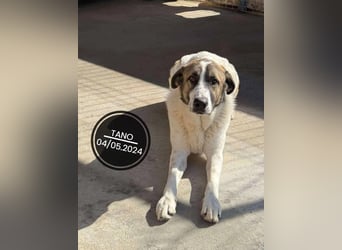 Dringend PFLEGESTELLEN gesucht!