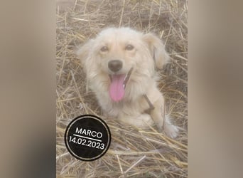 Dringend PFLEGESTELLEN gesucht!