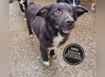 Dringend PFLEGESTELLEN gesucht!