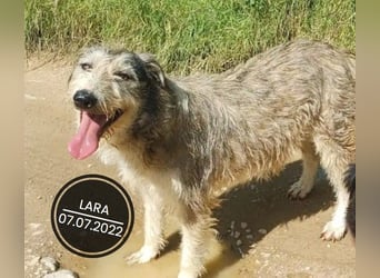 Dringend PFLEGESTELLEN gesucht!