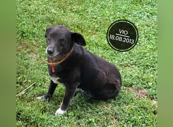 Dringend PFLEGESTELLEN gesucht!