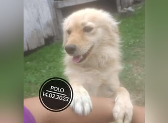 Dringend PFLEGESTELLEN gesucht!