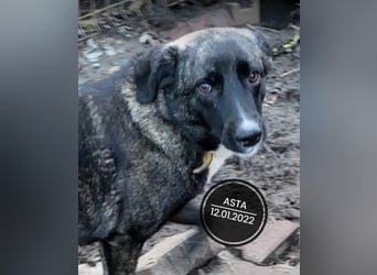 Dringend PFLEGESTELLEN gesucht!