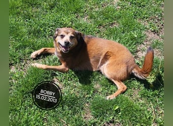 Dringend PFLEGESTELLEN gesucht!