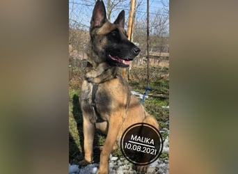 Dringend PFLEGESTELLEN gesucht!