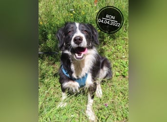 Dringend PFLEGESTELLEN gesucht!