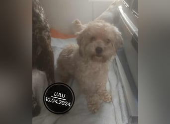 Dringend PFLEGESTELLEN gesucht!