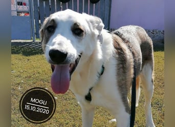 Dringend PFLEGESTELLEN gesucht!