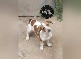 Dringend PFLEGESTELLEN gesucht!