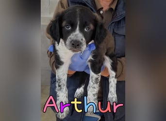 Arthur