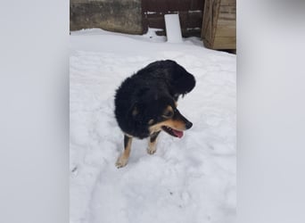 Berta sucht ein Zuhause.