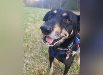Rudi sucht seine Menschen