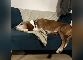 Jackie will Liebe und Geborgenheit erfahren