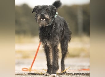 Paty, sucht ihre Herzensmenschen