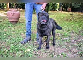 Morgan - wird hoffentlich alles besser