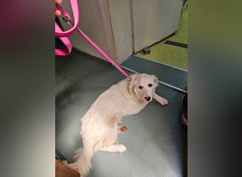 Zauberhafte Skadi, bekommt sie trotz Handicap eine Chance?