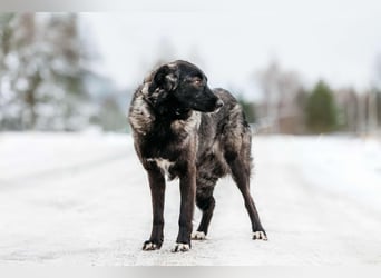 Vorsichtige Tama sucht ihre Familie