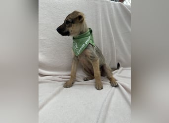 Süße Olivia