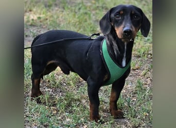 Walter - ein aufgeweckter, kleiner Kerl