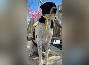 Flori, 02/25 - sucht im Mai eine Familie