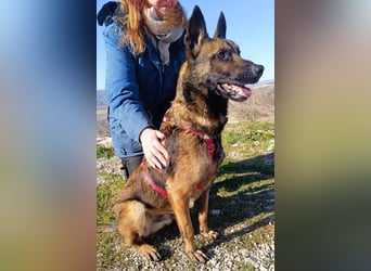 Lio - Best Buddy gesucht!