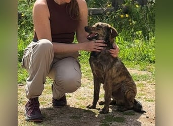 Paco: freut sich über Besuch in Bremen