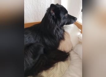 zauberhafte Zaira