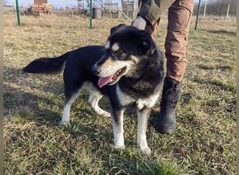Nala, geb. 19.04.2021, 57cm, wünscht sich eine liebevolle Familie