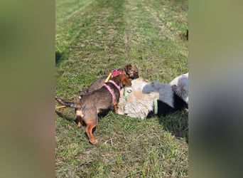 Nora sucht eine liebevolle Familie