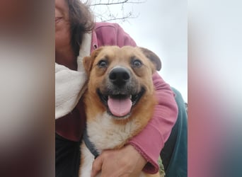 Jungspund Dylan sucht sein Glück - wer zeigt ihm die Welt
