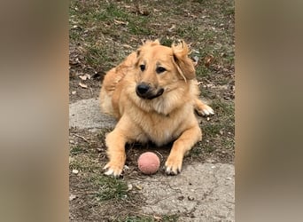 Sally sucht ein liebevolles Zuhause