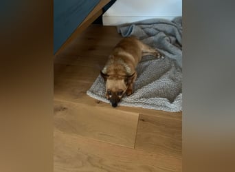 Charlie: wer hat mich lieb?