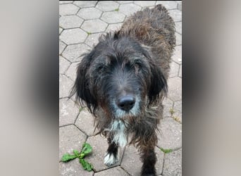 Nico: wann scheint für ihn die Sonne?
