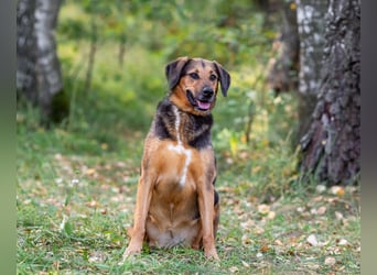 Elsa sucht ihre Familie