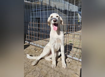 Winston: wer zeigt mir die bunte Welt?